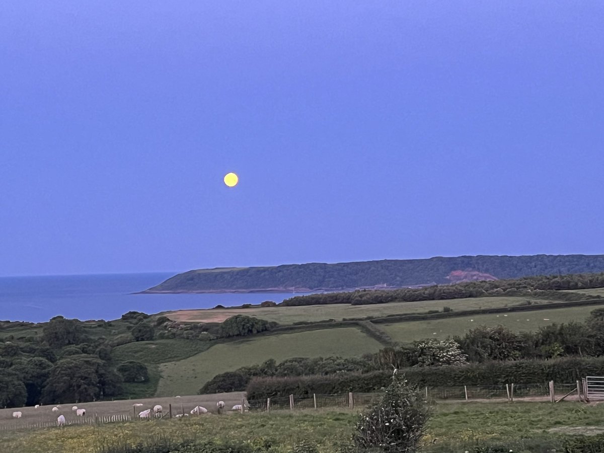 Strawberry moon over Oxwich Bay in the Gower early this morning