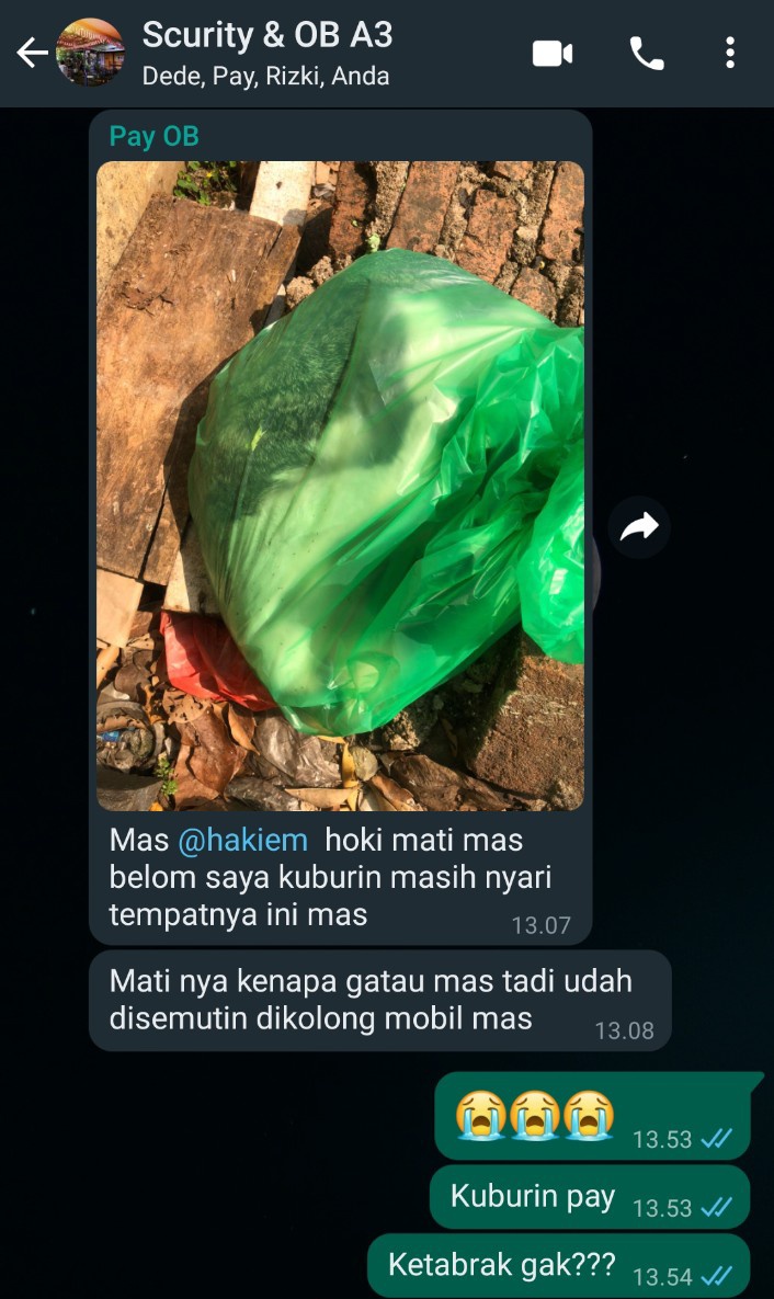 BANG HAKIEM tweet media