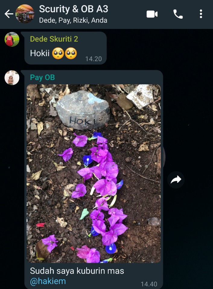 BANG HAKIEM tweet media