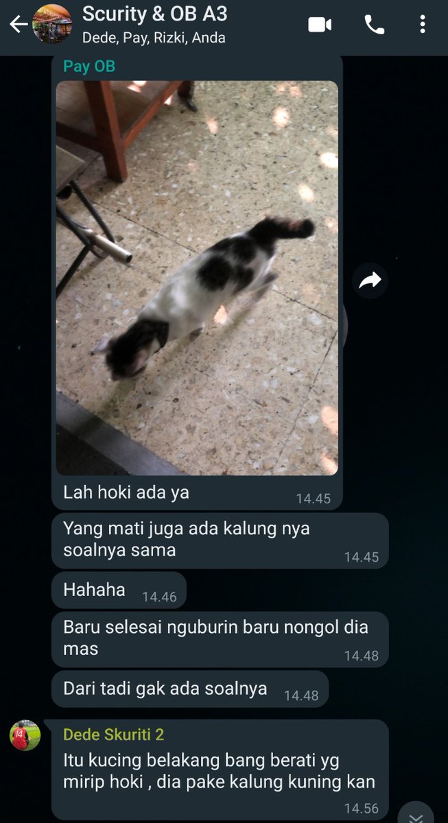 Selain DEDE NGNTT

adalagi satu

PAY NGNTT

jangan sampe bang popo tau 🤸