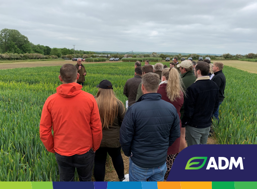 ADMAgriculture's tweet photo. Last week we held our trials event at @ragtseedsuk demonstration site #Ickleton where we looked at the variety and BYDV plots. Thanks to @NitraSol, @TimacAgroUK, @MapOfAg, and @certis_belchim for joining us! https://t.co/1o7biYYd76
