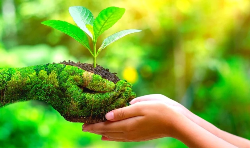 Happy #WorldEnvironmentDay! Discover how our sustainable OCP hardware can reduce your carbon footprint. #Sustainability