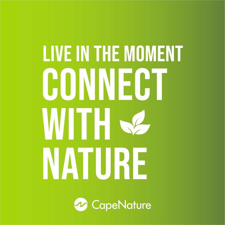 Our Vrolijkheid Nature Reserve is known for its beauty. Its rock formations stand bold and proud between the most colourful plant life, bringing brightness to your picnics and outdoor activities. 

Book Online 👉 zurl.co/b2A5

#CapeNatureWinterWarmer