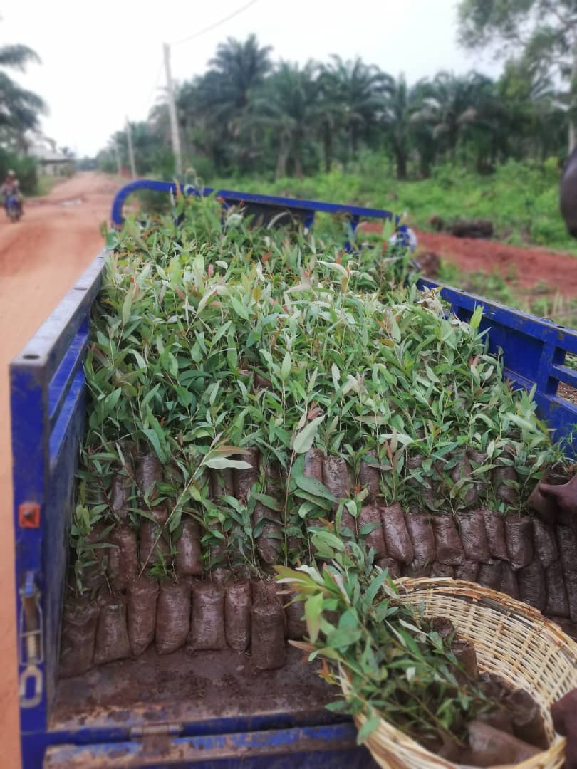 Expertise AgriTech tweet media