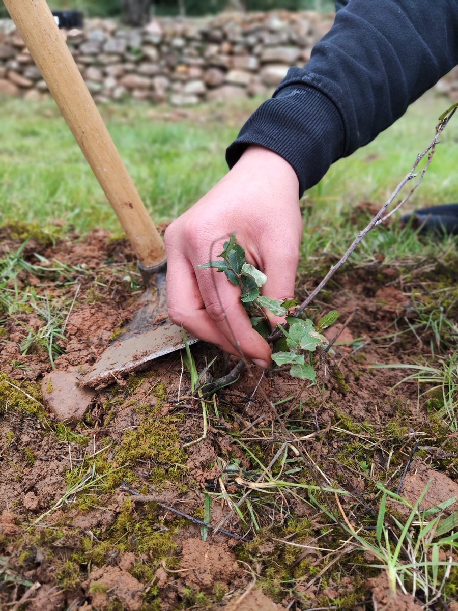 CEE_Torrepinos's tweet photo. 🌍Hui es celebra el #DiaMundialDelMediAmbient.
Cal cuidar-lo, estimar-lo, millorar-lo, no tenim un altre. Si cuidem el medi ambient, ell ens cuidarà.🌱 https://t.co/xIeaqJFjM2