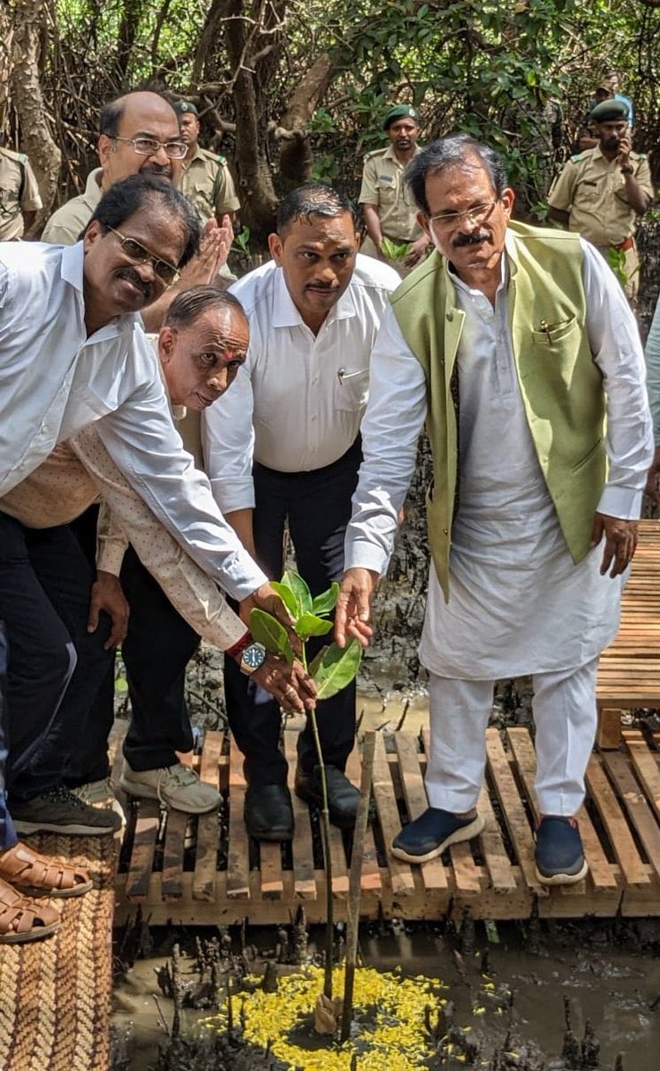 goaforests's tweet image. Union Minister of State for Tourism, @shripadynaik, with PCCF and Senior Forest officers at the state level launch of #MISHTI on  #WorldEnvironmentDay! 🌍

#MISHTI is aiming to boost #mangrove cover &amp;amp; fortify coastal infra resilience
@visrane @moefcc @DrPramodPSawant @TOIGoaNews