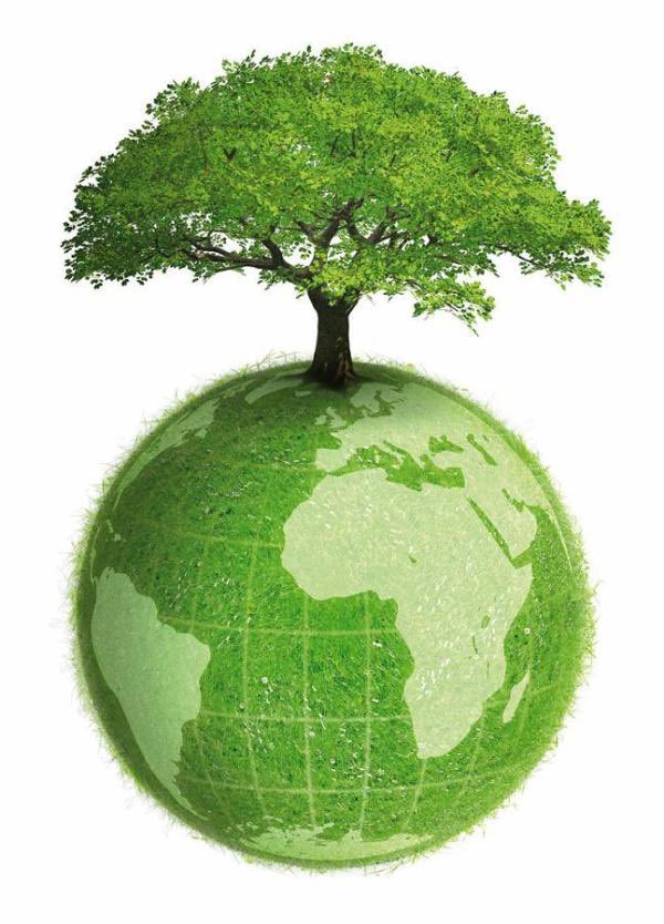 EspacioAnepma's tweet image. A todos los que forman la gran familia de #ANEPMA ¡feliz #DiaMundialDelMedioAmbiente !!
🌏🌏🌏🌏
