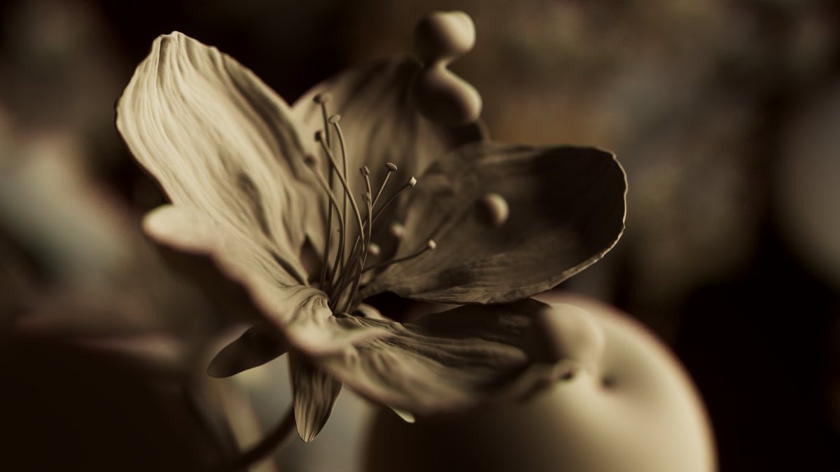 SEHSUCHT tweet media