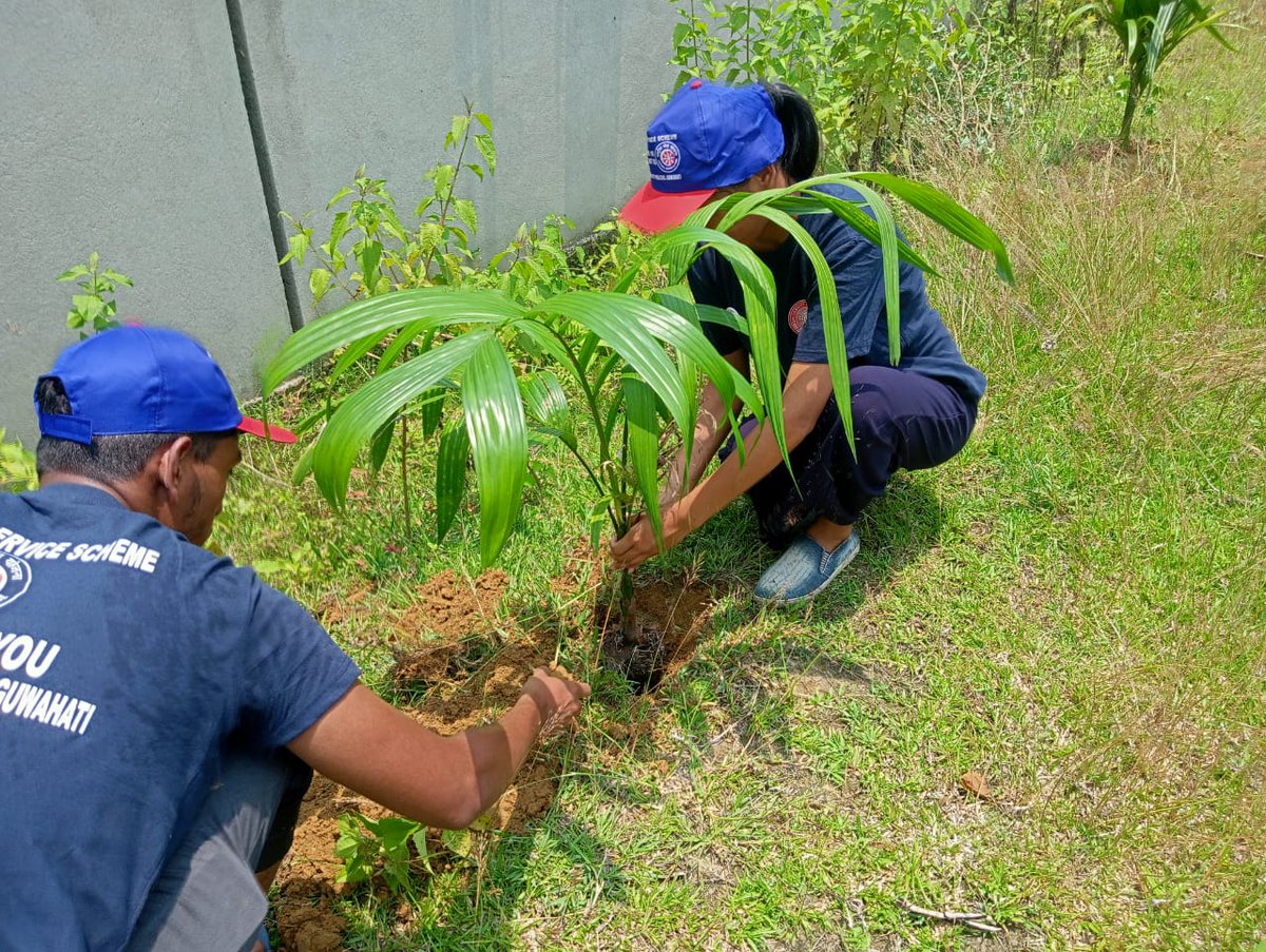 KumarBa35948703's tweet photo. Tree plantation programme by Chaiduar college NSS unit. 05/06/2023
@_NSSIndia @nssrdguahati @CMOogficeAssam
@YASMinistry 
@FMEnvng
@WED2012_DC https://t.co/iHHVMqTY2p