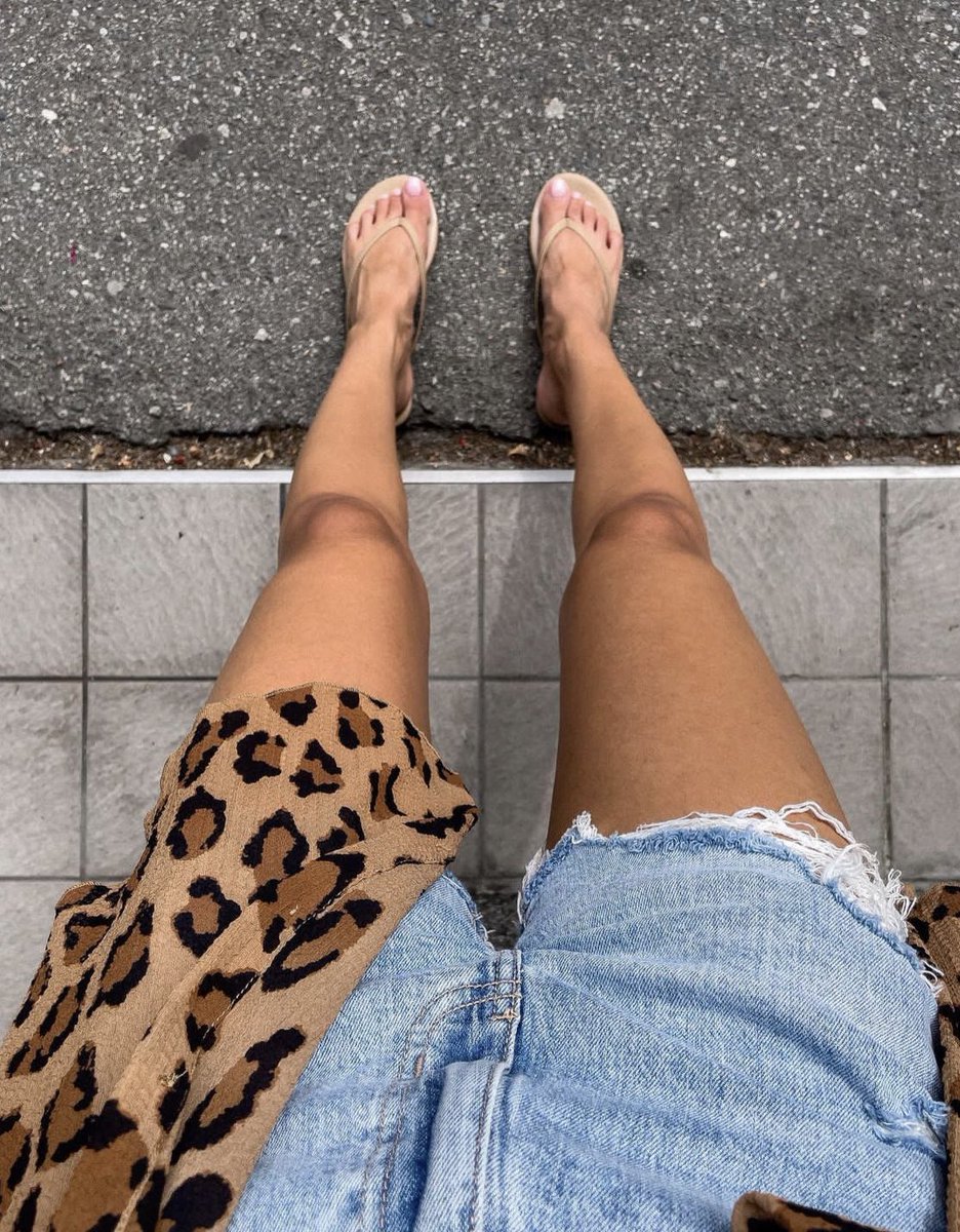 Gm guys 🦉☀️
Happy Monday