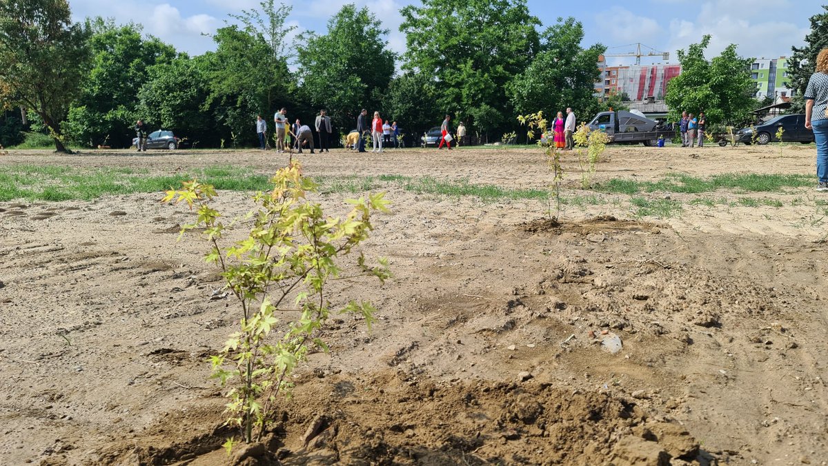 Trees are urban superheroes. 
Our cities are struggling with heatwaves, with communities and people in need of new public, green, cooling spaces. On this world environment day, we are planting 100 new trees in Skopje. <a href="/UNDPMK/">UNDP MK</a> #WorldEnvironmentDay <a href="/UNDPAccLabs/">UNDP Accelerator Labs</a>