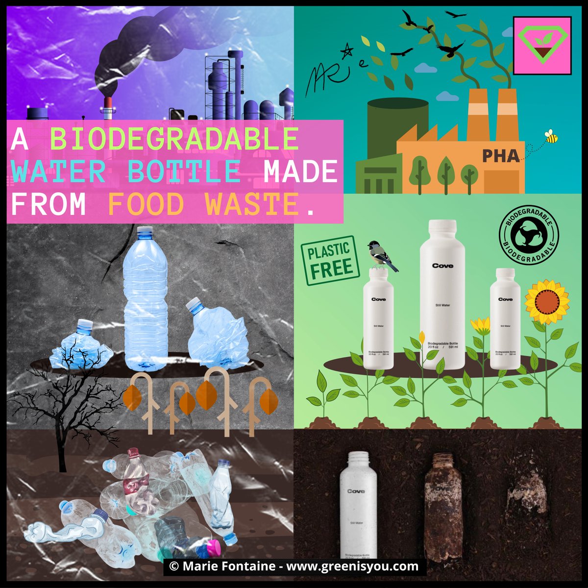 Green_isYou's tweet image. 🚮1M plastic bottles discarded each minute. @cove has developed a biodegradable water bottle made from PHA🌿- decomposing in years, not centuries. 👍Transforming the problem of plastic waste, one bottle at a time. #BeatPlasticPollution #CovePHA More There: tinyurl.com/56n65yju