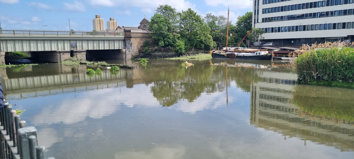 Tom Lowe tweet media