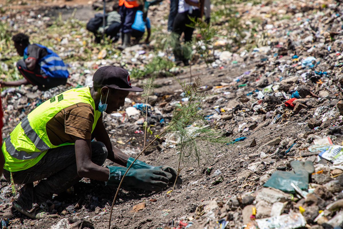 Mathare_Roots's tweet photo. 🌍 Happy World Environment Day! 🌿

Today, let's join hands to protect and restore our beautiful planet. It's time for action! 🌎💚

🌱 Plant trees.
♻️ Reduce waste.
💧 Conserve water.
🌅 Protect our rivers

#WorldEnvironmentDay #SustainableLiving #MathareCommunityPark https://t.co/Cbx4V38nCT