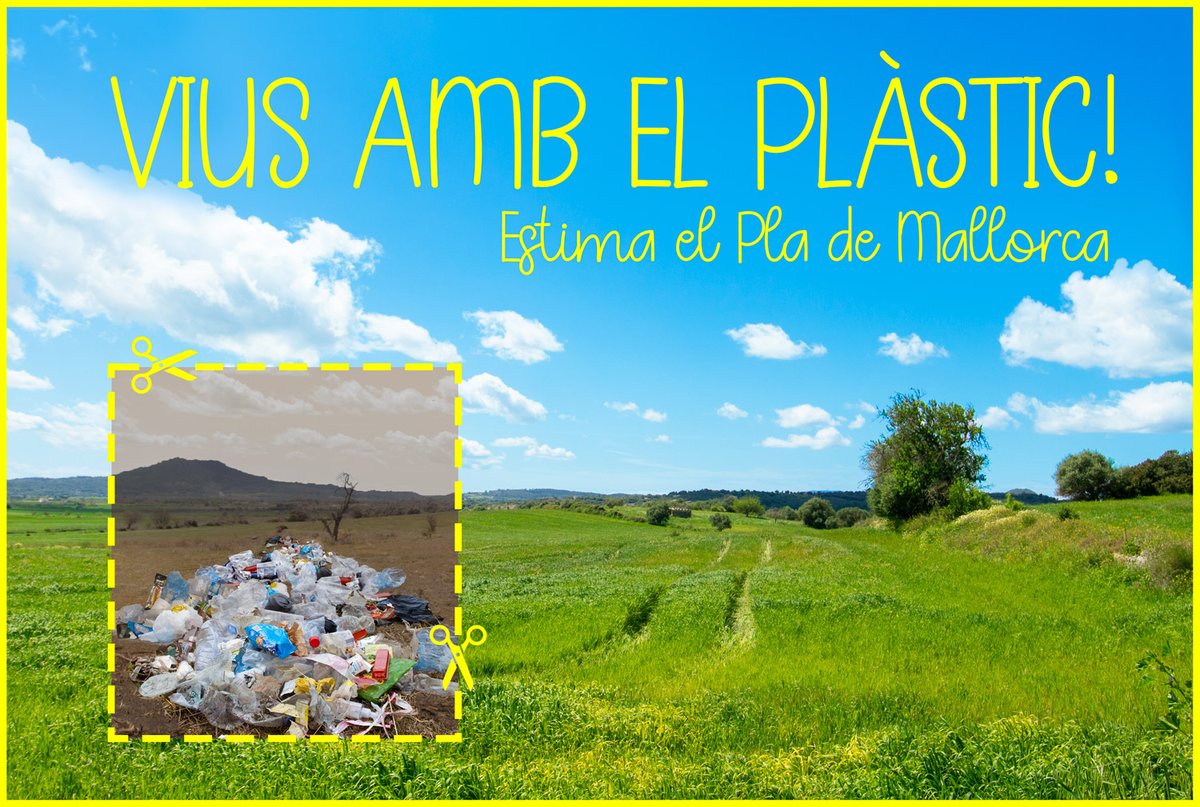 El Pla de Mallorca i el dia del Medi Ambient mancomunitatplademallorca.net/ca/noticies/se…