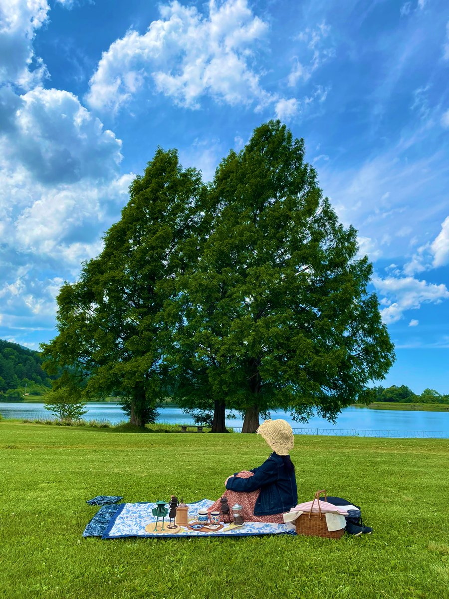 今日はおうちから車で3分のところへ
ピクニックに行って来ました🐰🧡💐

なんと！トトロの木がありました🥹🙌
lucky day🌈

#トトロ
#となりのトトロ
#ピクニック