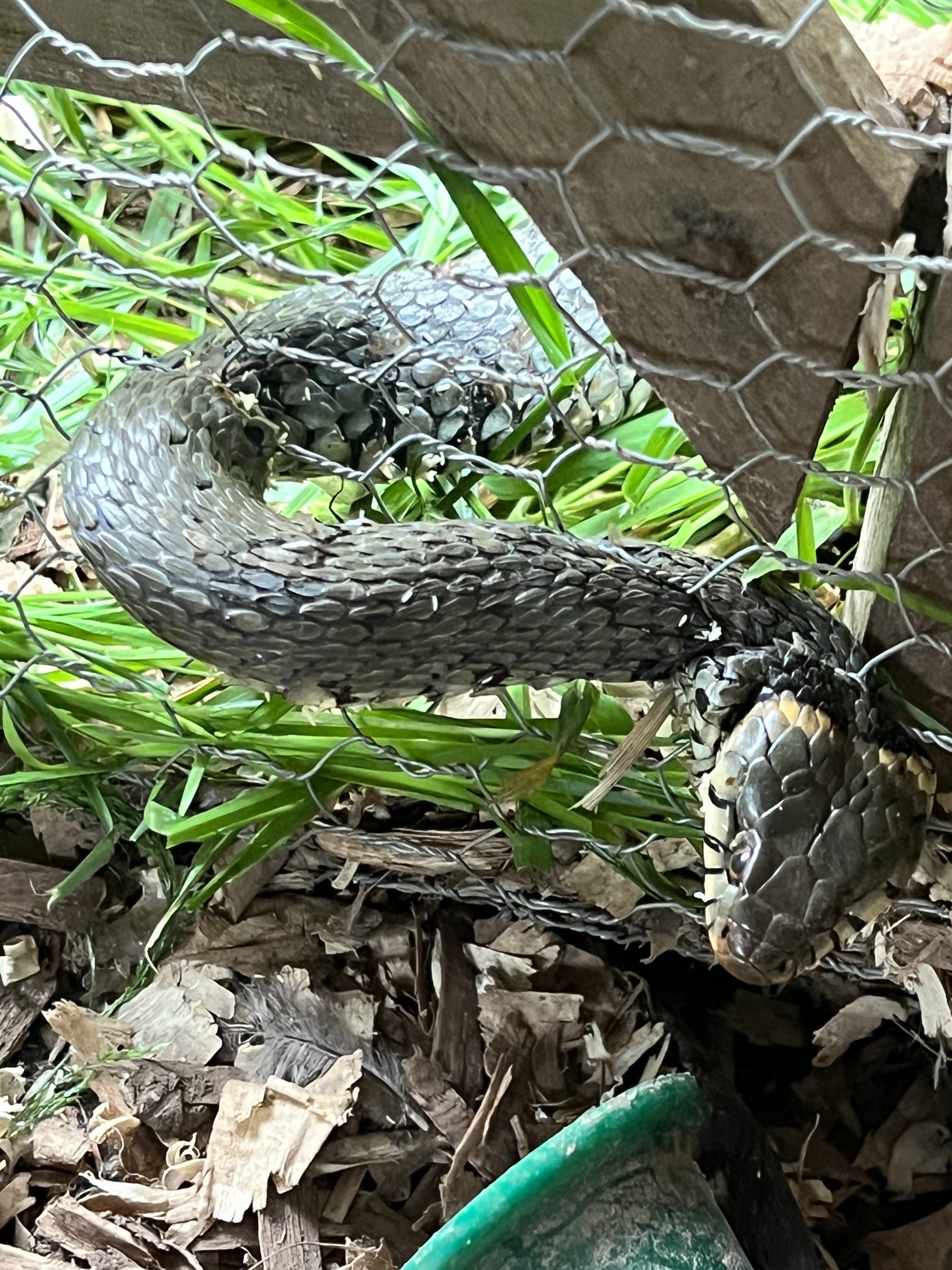 Monty Don on Twitter "NicholasMilton ChrisGPackham ARC_Bytes