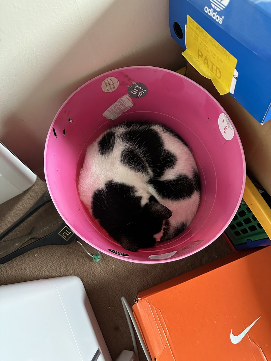 Dr Amanda tweet media