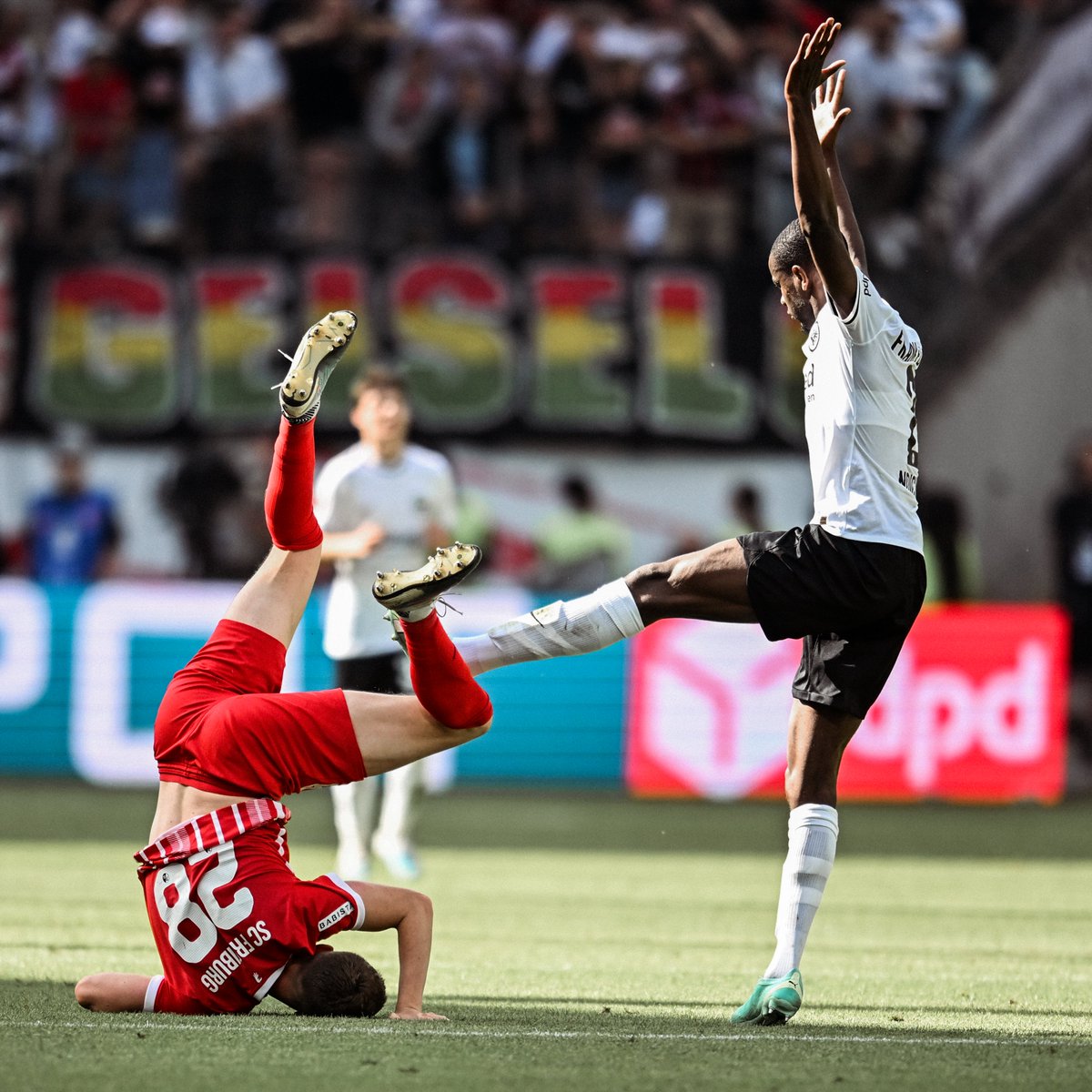 SC Freiburg (@scfreiburg) on Twitter photo Wenn man als einziger Feldspieler JEDE einzelne #Bundesliga-Minute der Saison auf dem Platz stand,
darf man sich auch mal aufs Ohr legen... 🙃
Im Ernst: Was für eine Saison, <a href="/MatzeGinter/">Matthias Ginter</a> 👏 Wenn man als einziger Feldspieler JEDE einzelne #Bundesliga-Minute der Saison auf dem Platz stand,
darf man sich auch mal aufs Ohr legen... 🙃
Im Ernst: Was für eine Saison, <a href="/MatzeGinter/">Matthias Ginter</a> 👏
