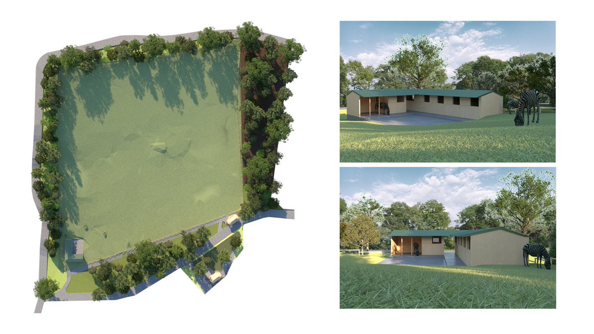 Exciting news! We have just received planning approval for a brand-new zebra stable at Edinburgh Zoo. The zebras will soon have a comfy new home with upgraded facilities. We can’t wait to see the beautiful stripes settle in! #RZSS #zebrastable #EdinburghZoo🦓🏠👍