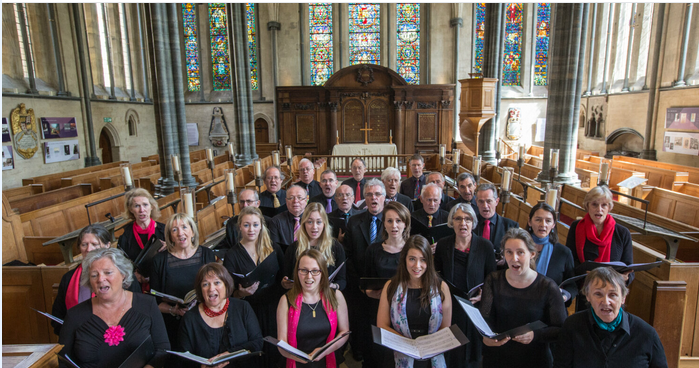 Brandenburg Festival tweet media