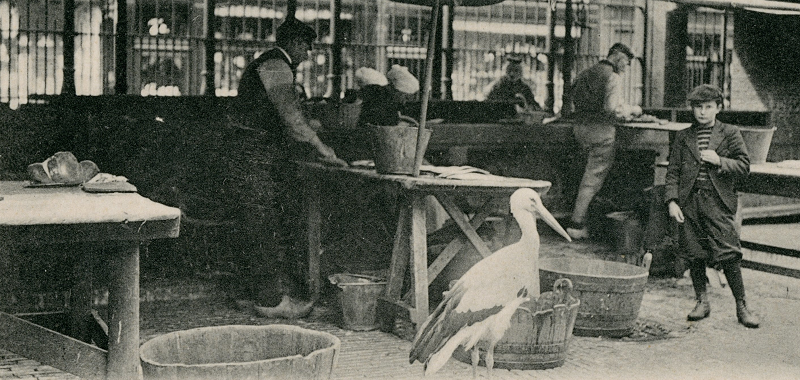 Het gemeentewapen van Den Haag is op veel plekken in de stad te zien. Bijvoorbeeld op het stadhuis. Het Haagse wapen is goud van kleur en er staat een ooievaar op. Maar waarom eigenlijk een ooievaar? ow.ly/jGM450OxGoS

<a href="/haagsarchief/">Haags Gemeentearchief</a> #geschiedenislokaaldenhaag #DenHaag