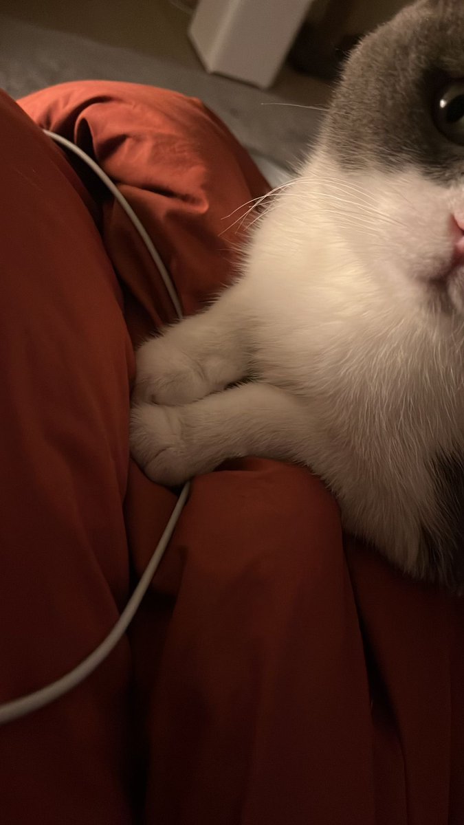 lunakedysi&limonkus (@lunakedisi) on Twitter photo 