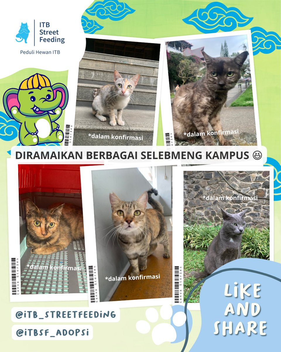 ITBSF's tweet photo. Ehem!
ITB Street Feeding akan hadir dalam acara Pulang Kampus pada 10 Juni 2023 π₯°
Yuukk yg liburannya di Bandung atau ikutan semester pendek, merapat ke booth ITBSF ππ»ππ»ββοΈπ¨
Ditunggu kehadirannya π
#itbstreetfeeding #pedulihewanitb #kucingitb #prosteril #adoptdontshop https://t.co/HykMWNEA3S