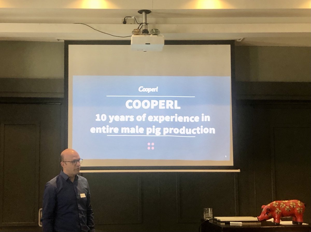 🐖 Now speaking Matthieu Pecqueur from Cooperl in France about their ambition and successes at phasing out castration. #pigs #castration