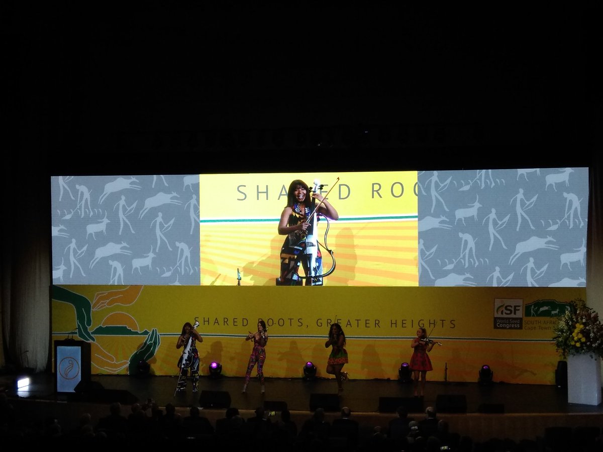 The conference theme for this year's seed community gathering in Cape Town is "Shared Roots, Greater Heights". Keeno Kamies, conference program director &amp; cultural entertainment during the official opening ceremony. <a href="/SeedFed/">International Seed Federation</a> #WorldSeed2023 #ISFWoodSeedCongress