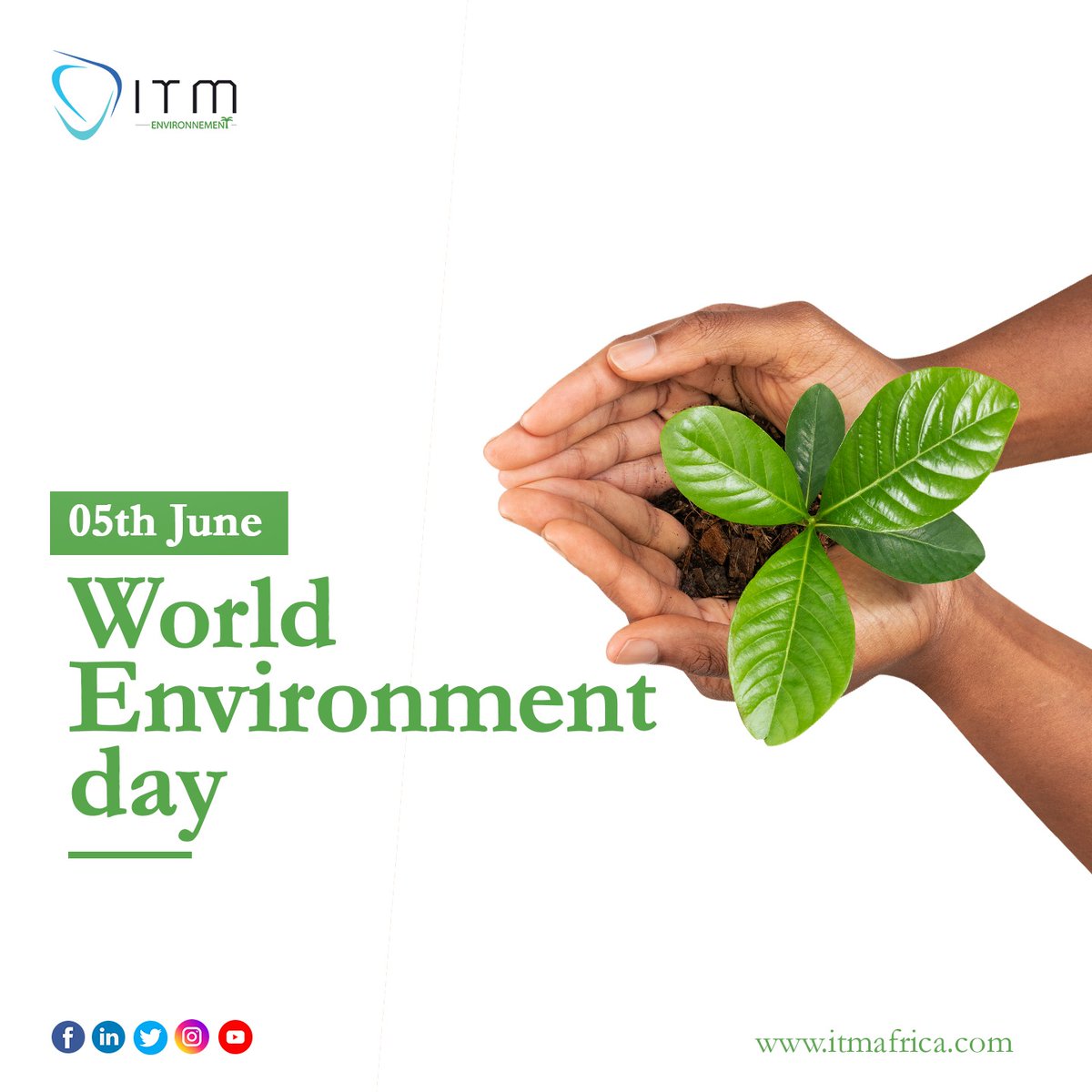 Let's unite to heal the Earth and create a greener tomorrow! 🌍💚 
#WorldEnvironmentDay 
#TogetherForNature
#WeAreITM