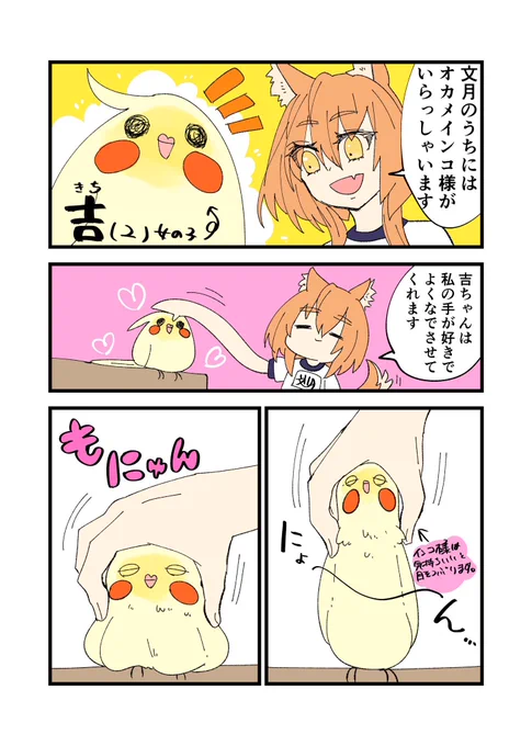 うちのオカメインコ様がすごくかわいいっていう自慢漫画

https://t.co/VFzic1p30n我が家のオカメインコ様/
↑ブログではおまけの一コマ漫画が読めます! 