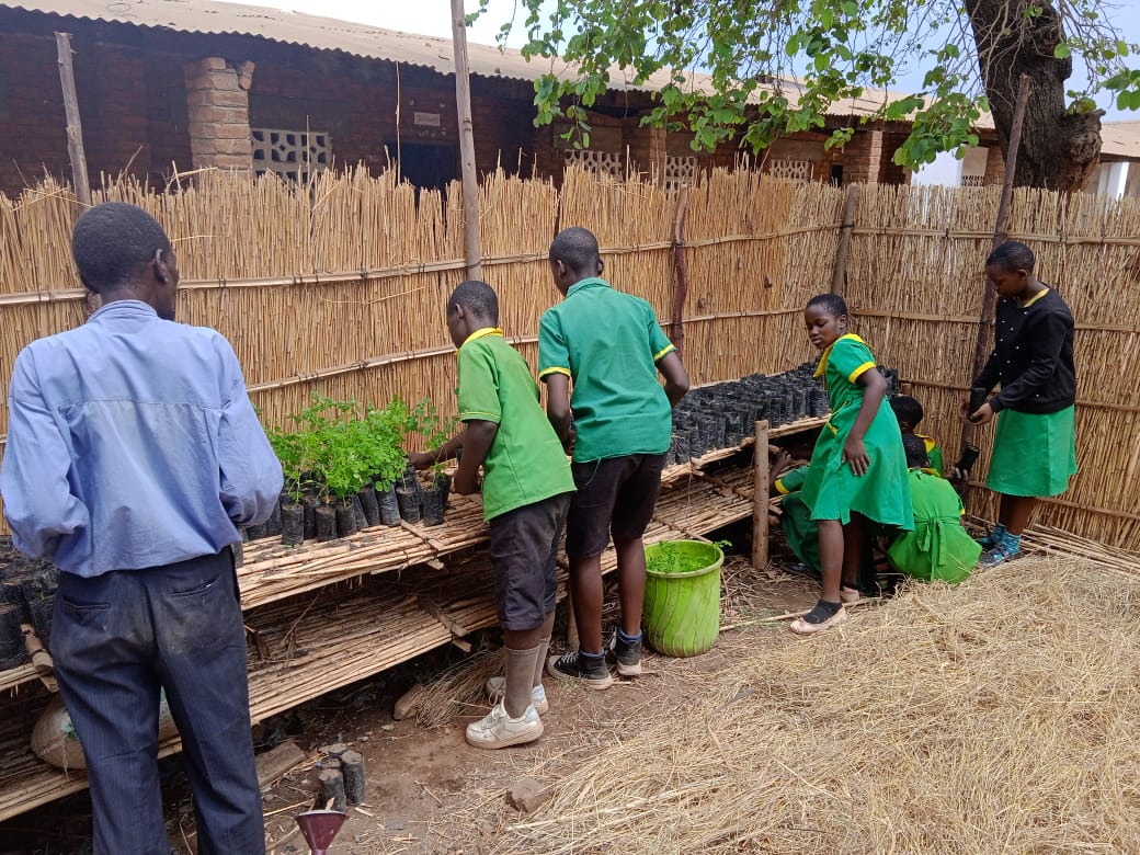 arigatou_ecp's tweet photo. It's #EnvironmentDay and special shout out to our partners worldover for taking action to conserve the environment by planting trees.
Tree planting was one of the key call to action areas in our 10th anniversary commemoration campaign; #ECPAt10 https://t.co/3D15X63Ets