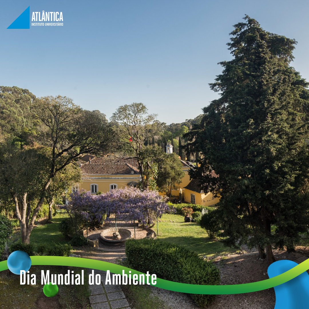 Dia 5 de Junho assinala-se o Dia do Ambiente para que mais uma vez se consciencialize as pessoas da importância de cuidar do planeta Terra que nos dá casa 🌎

#Atlantica #AtlanticaInstitutoUniversitario #ApostaNoTeuFuturo #SegueOTeuRumo