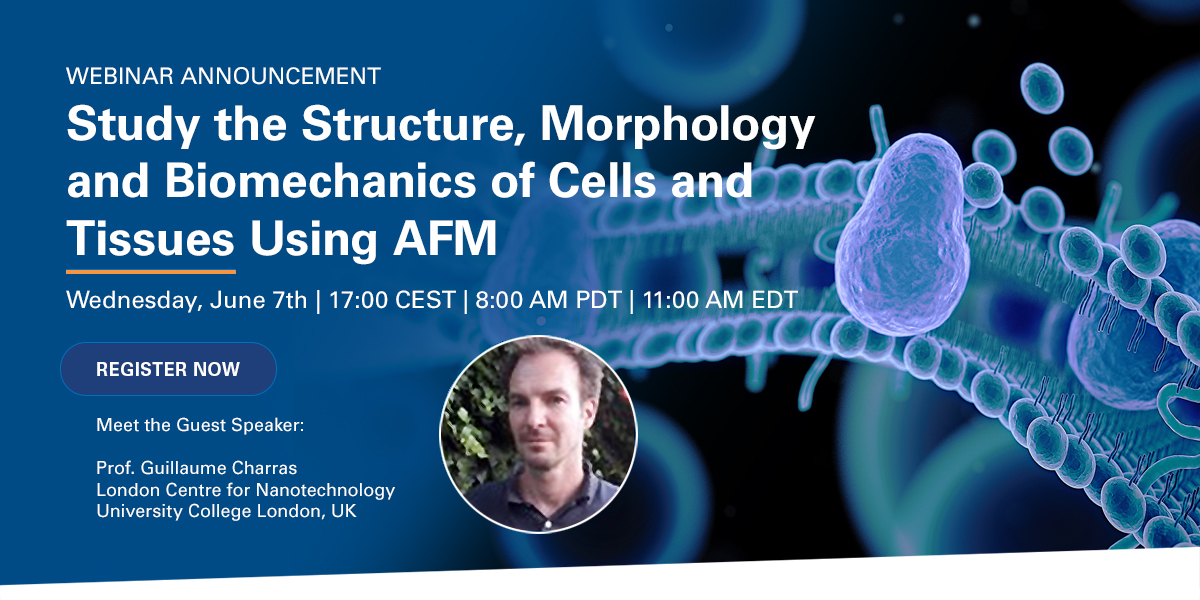 Bruker Nano Surfaces & Metrology tweet media