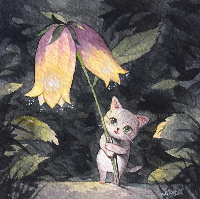 「夜道のちょうちんランタンだにゃ」  #透明水彩