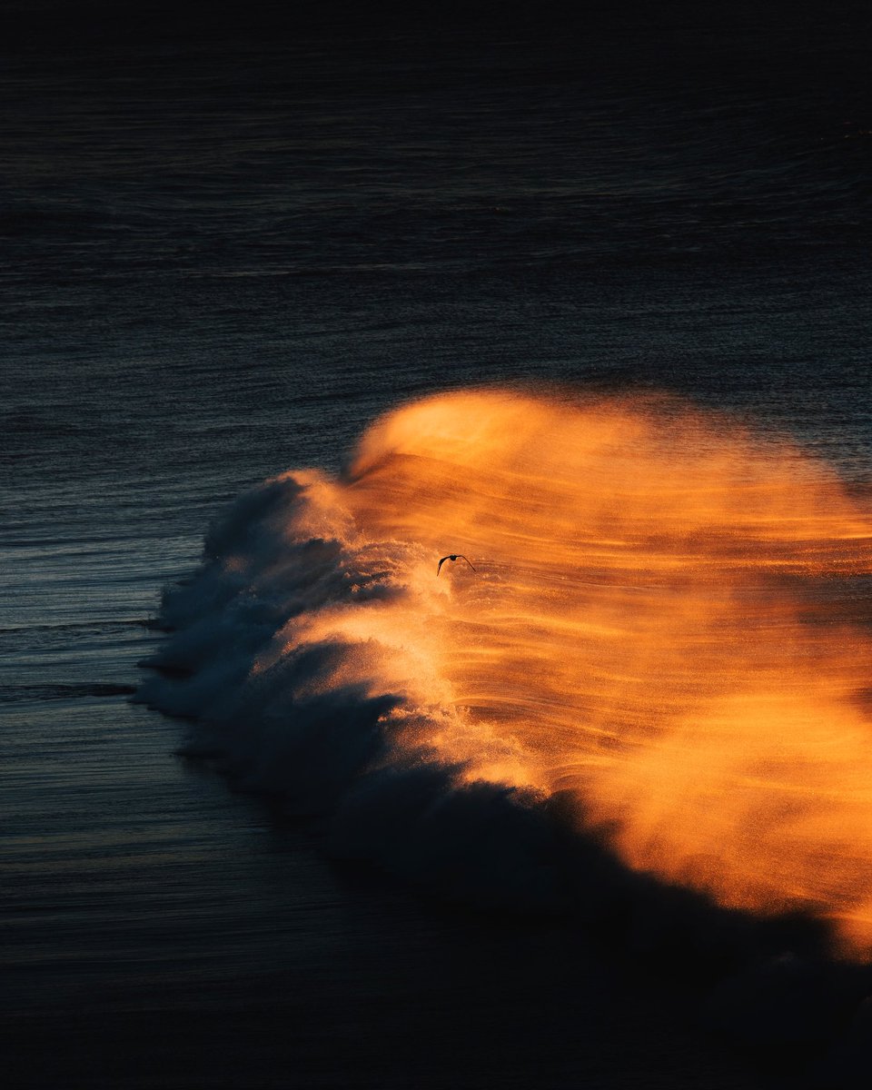 platouxx's tweet photo. GM photographers, artists and collectors 🌊 https://t.co/6Qy7nS2HXm