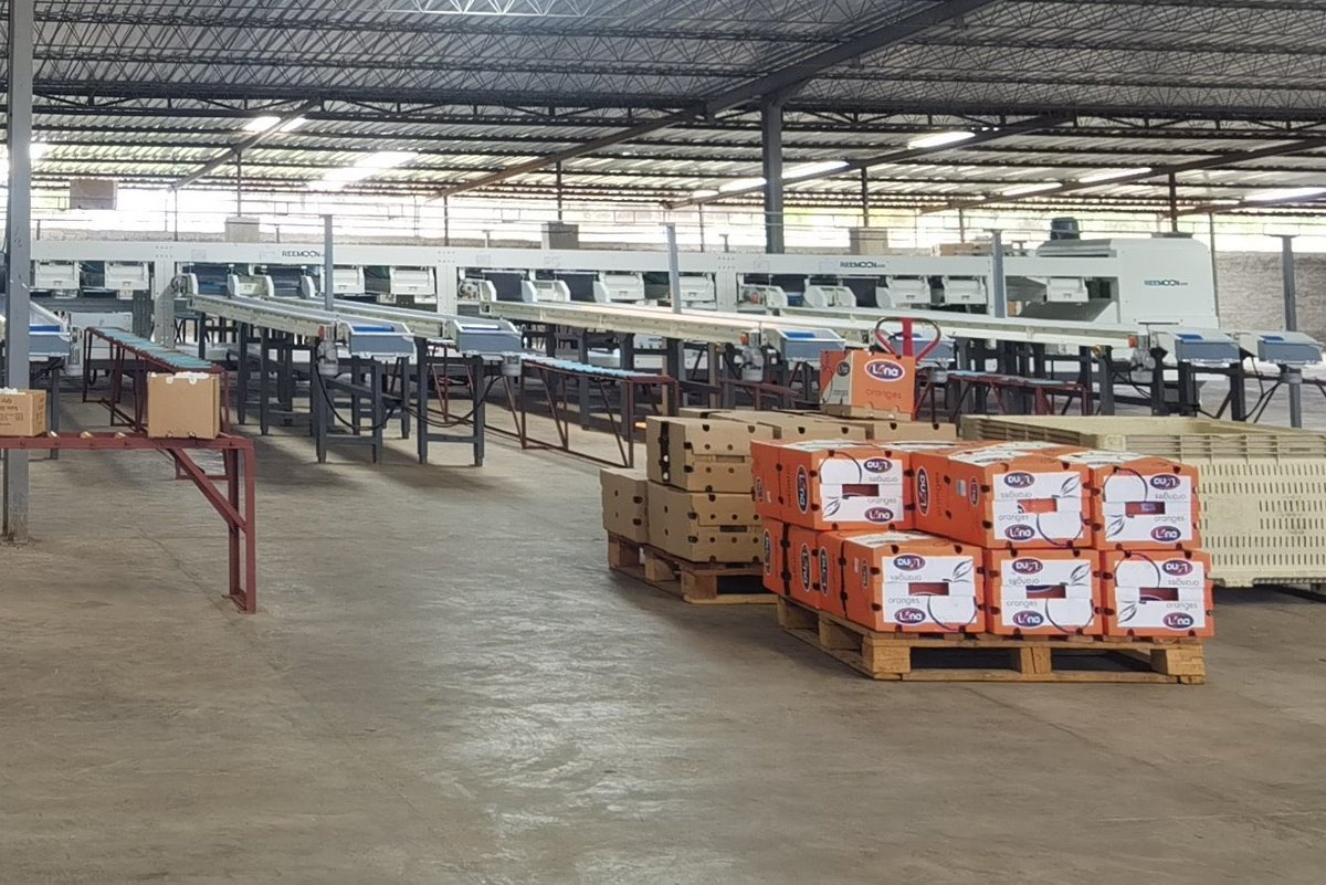 Sylvester Mupanduki on Twitter "Zimbabwe’s farming season is opposite to China’s climate Our