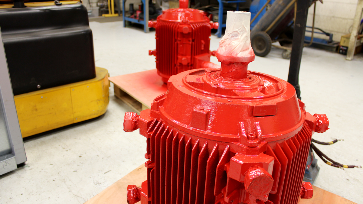 What's on in Rewinds?

Fresh out of the spray booth in a lovely Carmine Red, comes two refurbished electric motors.❤️

We don't just get your motors back up and running perfectly, we also make them look like new! 

#rewinds #workshop #motors #electric #electricmotors #paintjob