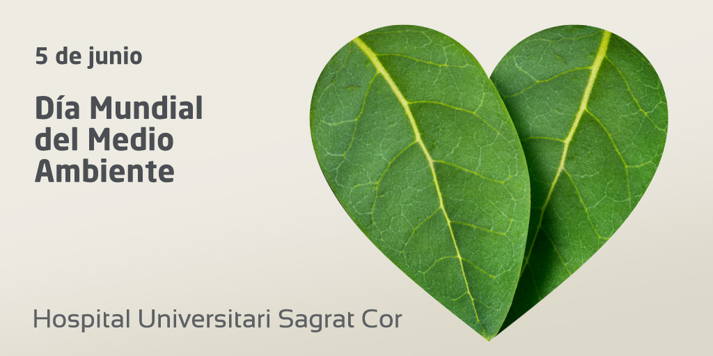 #DíaMundialMedioAmbiente Además de nuestro compromiso con la salud de las personas, al ser más sostenibles estamos más cerca de alcanzar nuestro compromiso con #LaSaludDelPlaneta