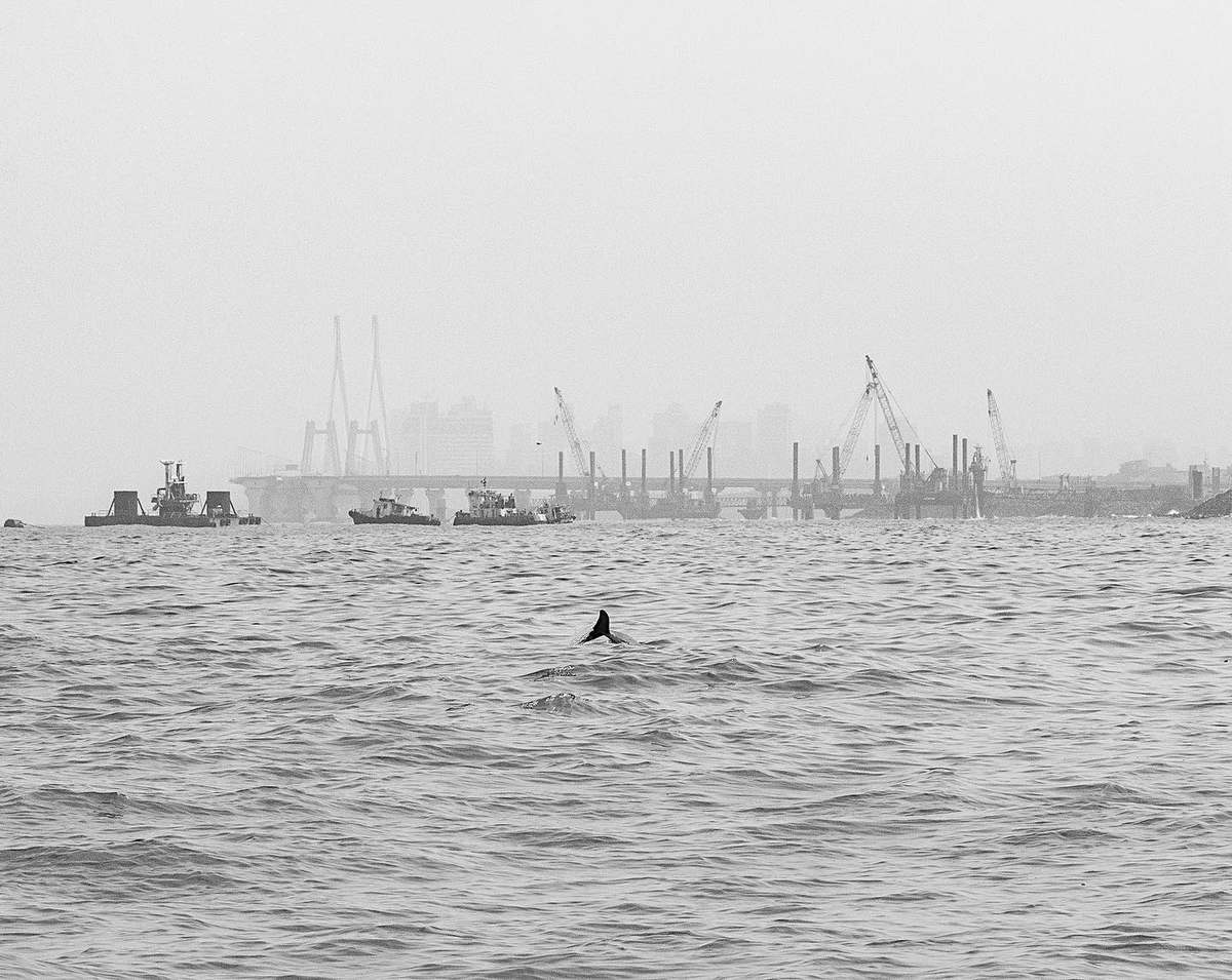 Shaunak Modi tweet media