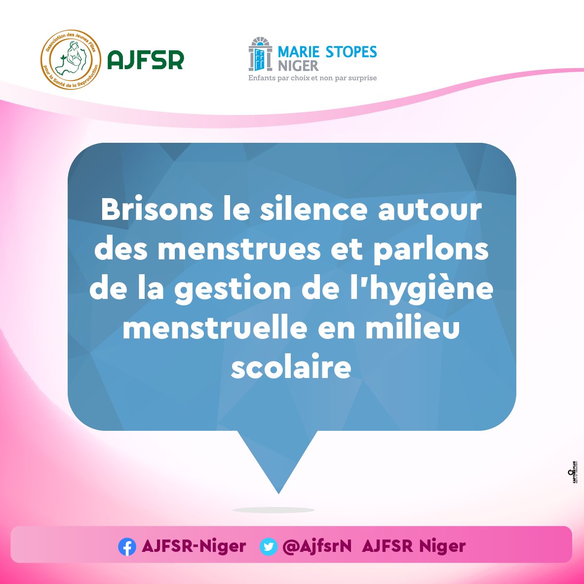 AJFSR Niger tweet media