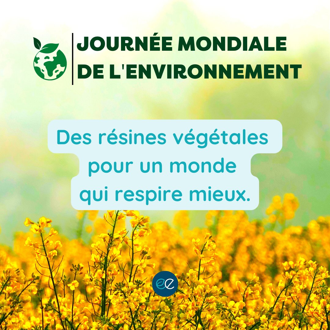 Evertree tweet media