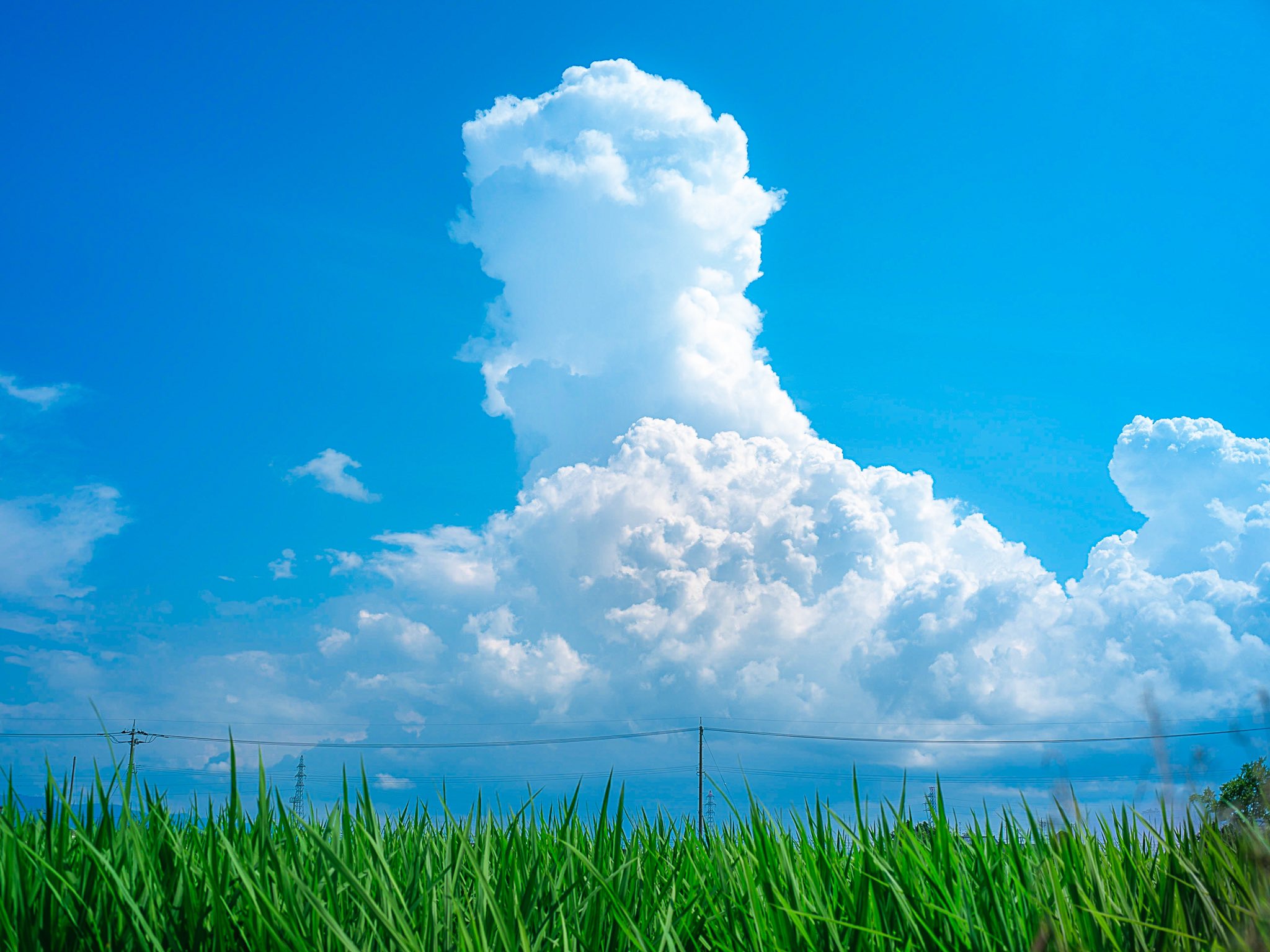 夏の雲 夏の雲 . . GFX50R . . #gfx50r #夏休み #夏 #入道雲 #ジブリ