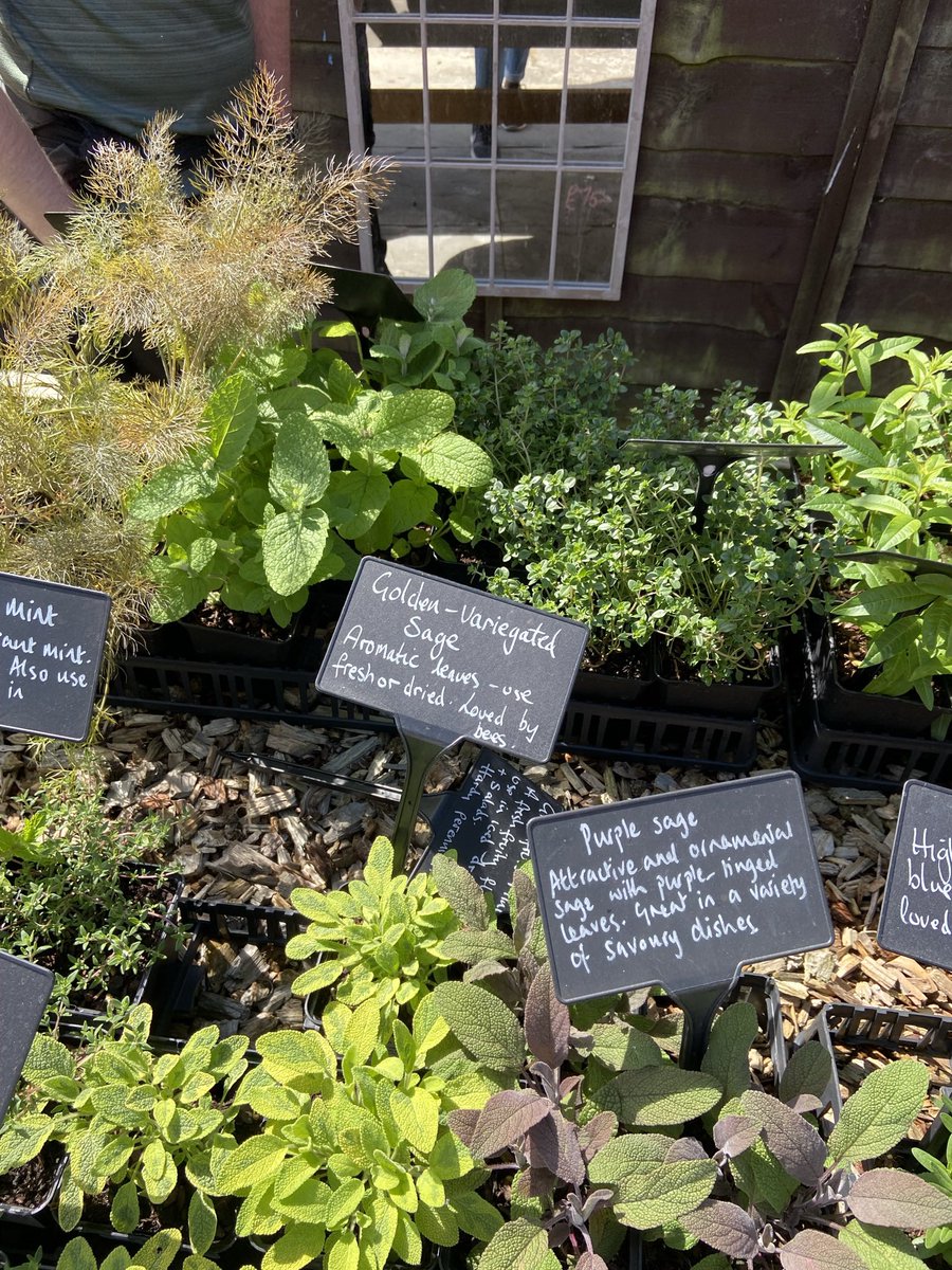 girlmoss🥦 tweet media