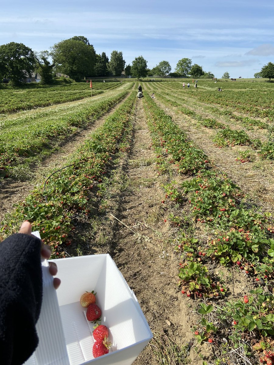 girlmoss🥦 tweet media