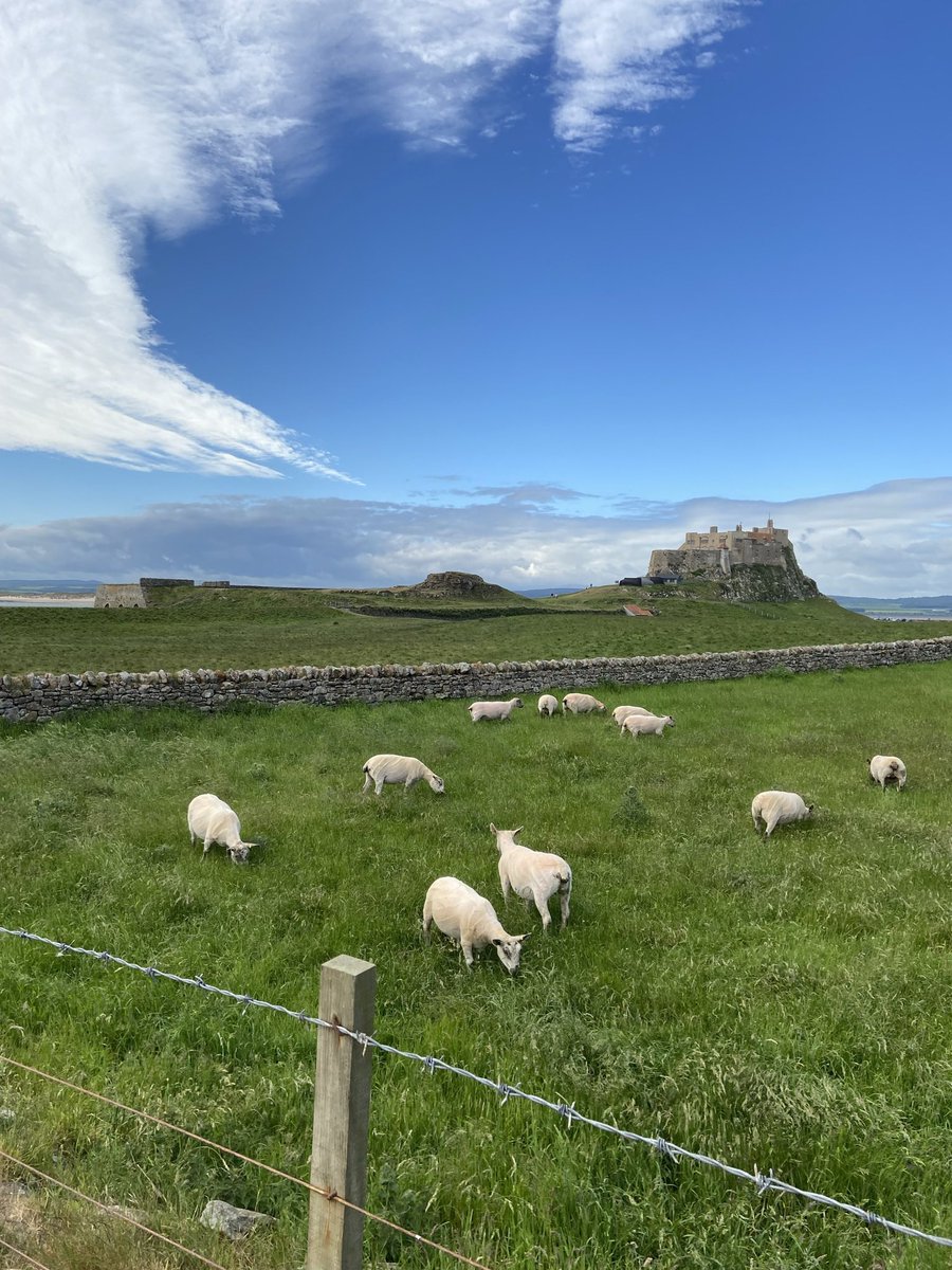 girlmoss🥦 tweet media