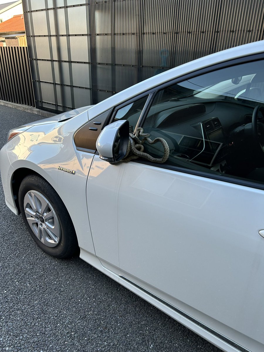人の車で交尾すな