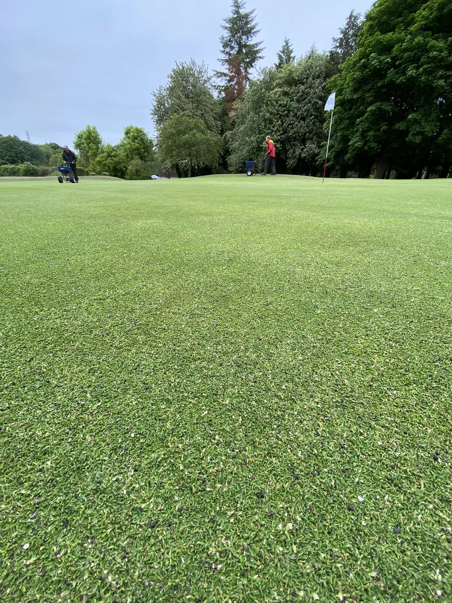 bgcgreenkeeper's tweet photo. Black gold going on the greens this morning @terralift TX10 supplied by @Aitkens_turf @andyaitkens74 #ifyouknowyouknow https://t.co/TOfBTyuzDV