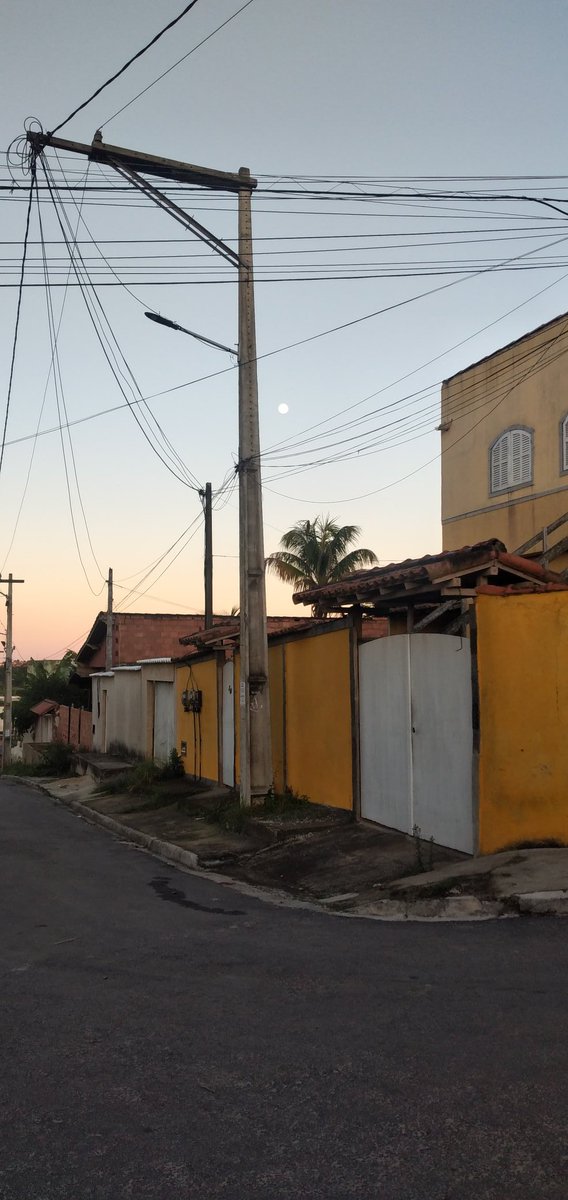 FelipeFreireLo1's tweet photo. Ja na vertical...
Vamo que vamo! https://t.co/zArsb0lPnL